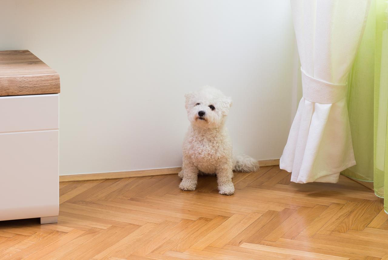 Apartman Zagreb Mandic エクステリア 写真